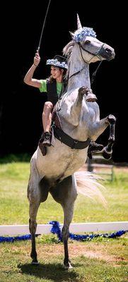 Equestrian Trick Riding Camps