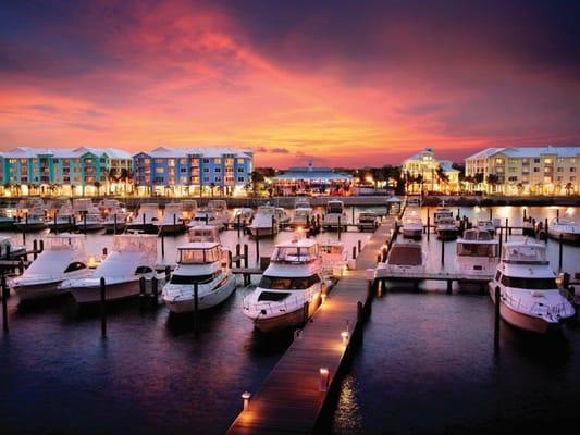 Located at Loggerhead Harborage Marina.