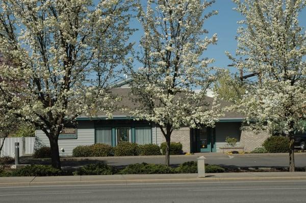 Siskiyou Veterinary Hospital