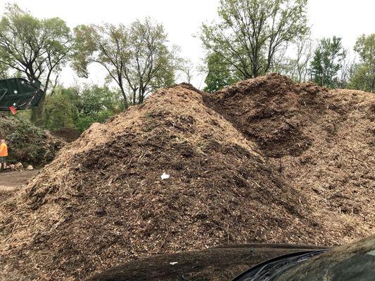 Piles of mulch. They got it all.