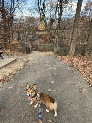 Entrance to The Ledges Trail! My dog is excited to go!