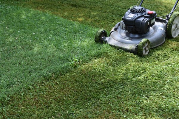 Basic Lawn Service - we maintain lawns on a weekly basis so that you don't have to!