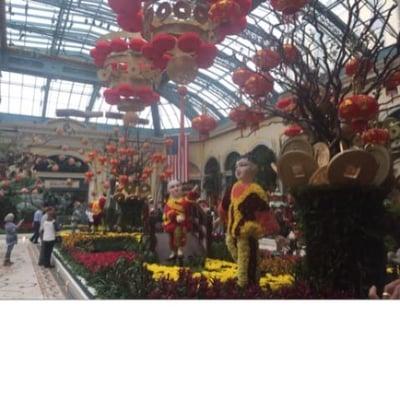 Chinese New Year - Year of the Monkey at the Bellagio AICPA Conference 2016