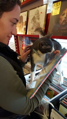 The owner has this awesome cat that will walk along the crates with you. Oh, and he has awesome records too!