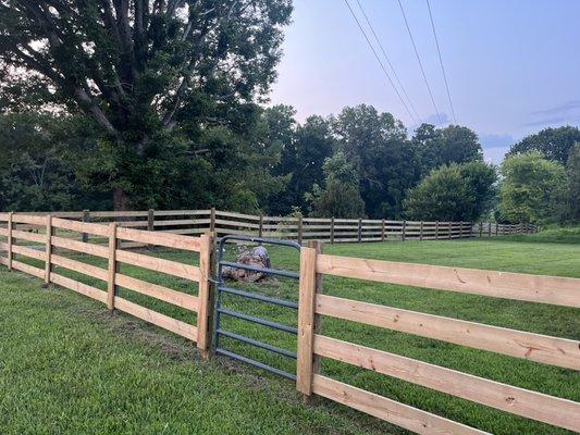 Four board fence install