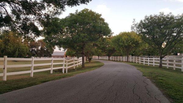 Salado Creek Riding Club - and boarding