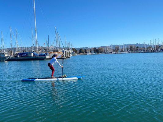 Awesome day for a paddle board lesson