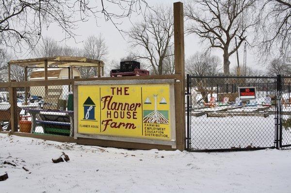 Flanner House orchard community garden in the winter