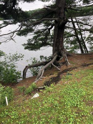 Lake Cochituate