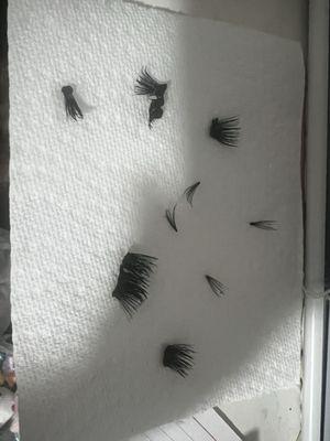 How my lashes came off