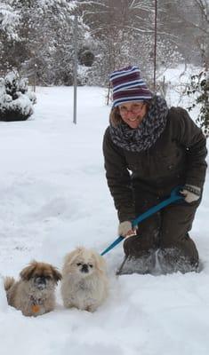 Large or small, outdoor time for dogs is fun!