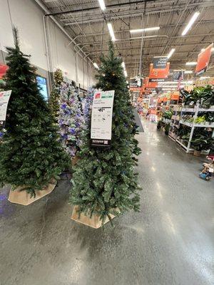 6.5 ft pre-lit tree for $50