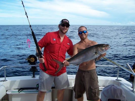 Pretty Amberjack