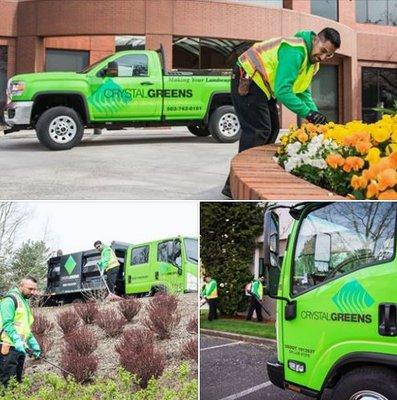 Watch for our greens trucks! We are everywhere.