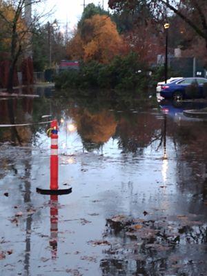 Back parking lot flood !!!!!