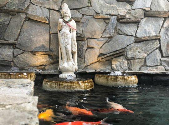 koi pond services