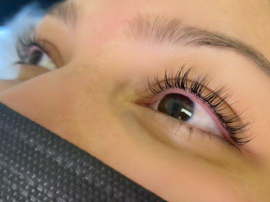 Lash Lift and Tint