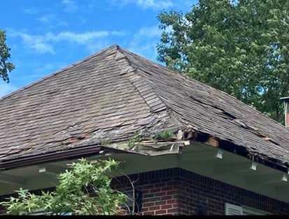 Damaged area from tree falling