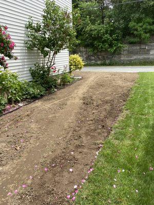 After tearing out the existing lawn