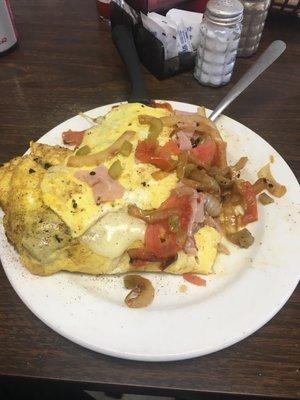 My partially eaten omelette. It did lop over both sides when served!  Note the grilled onions!