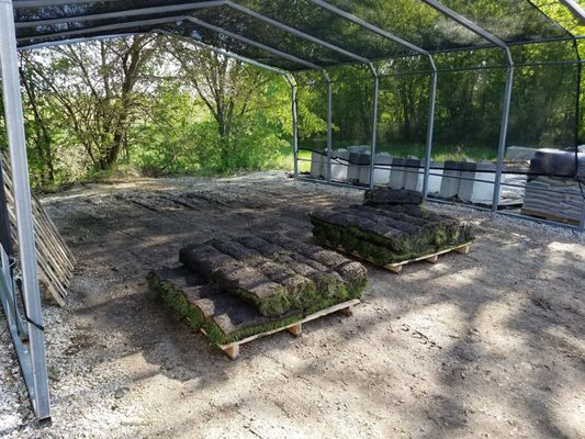 Sod stacked on pallets and kept out of the sun so they don't dry out