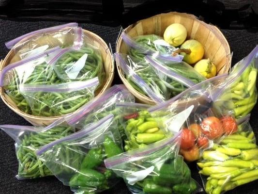 Berkfield & Co Ltd staff harvest, clean, and package the fresh produce for delivery to Open Door Pantry.