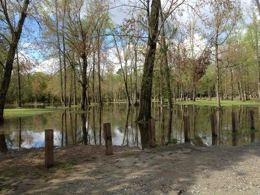 No, this park does not have a lake.