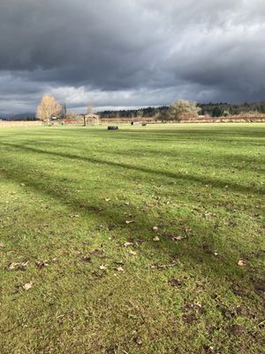 Strawberry Fields For Rover Off Leash Park