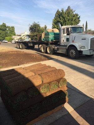 1 roll = 10 sq feet.  10 rolls of sod in each layer meaning 100 sq per layer.  5 layers in a pallets so 500 sq feet on a pallet.