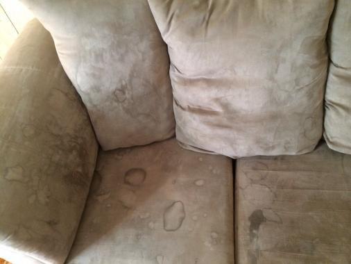 Love seat horror