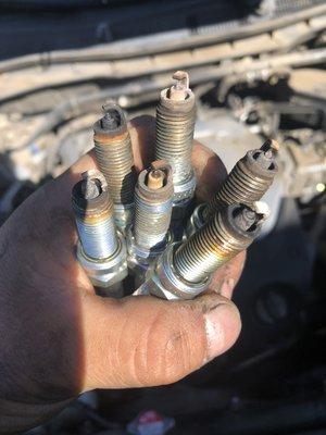 This are worn spark plugs from 2010 Honda Accord