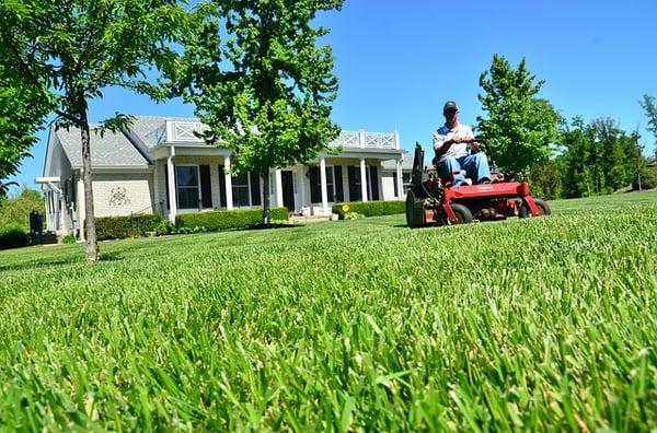 All season Lawn Care & Maintenance