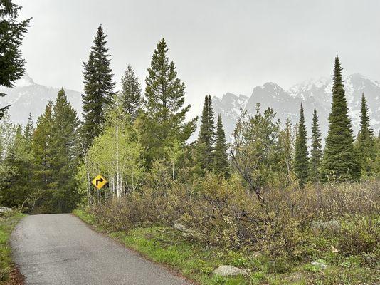 Jenny Lake Campground