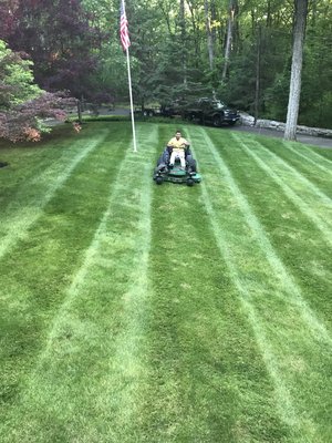 Mowing