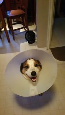 A cone isn't enough to bring down this happy girl!