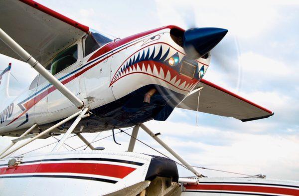 Shark Aviation's Cessna 185 amphibious seaplane starting up.