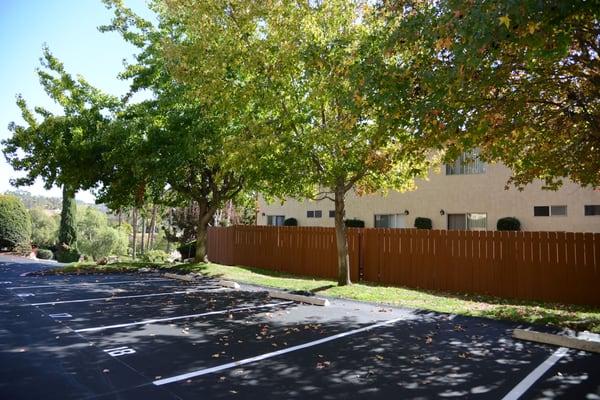 New Asphalt and Back Yards.