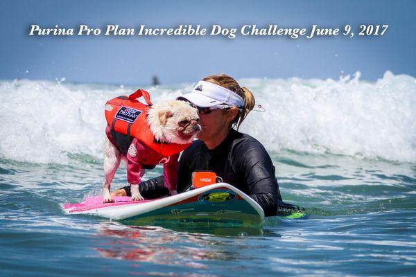 Purina Incredible Dog Challenge "Dog Olympics"