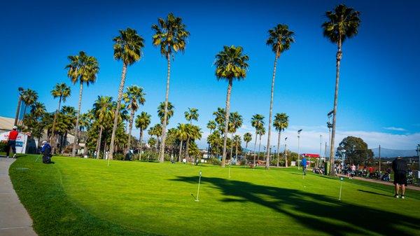 Outdoor putting green