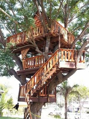 rossmoore treehouse deck in a tree house in a tree