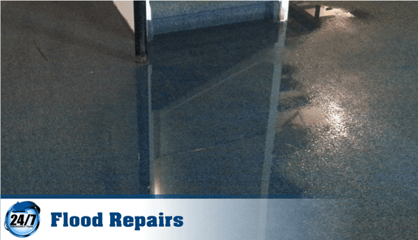 Best Water Damage Repair Experts Anthem Henderson Flood Damage & Restoration