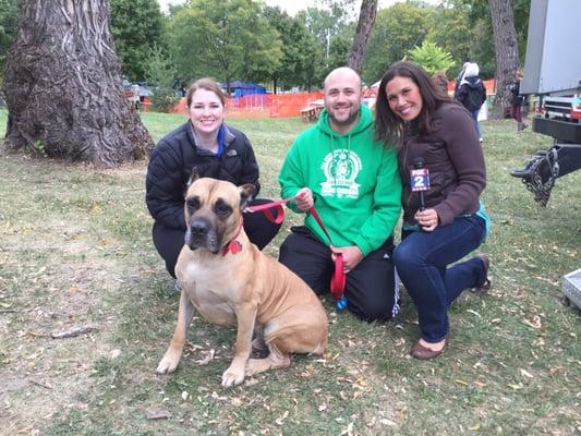 Armani went from being homeless to being loved by an awesome family and being a celebrity on Fox2.