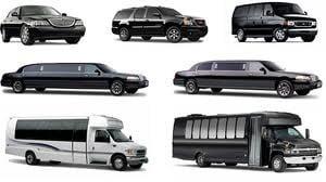 Our Denver Airport Transportation Fleet