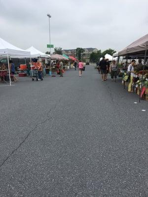 Tuesday morning market kick off