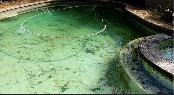 This is how my pool looked the day I finally canceled on this horrible company...