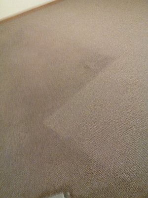 This photo shows how clean this dirty carpet cleaned up.