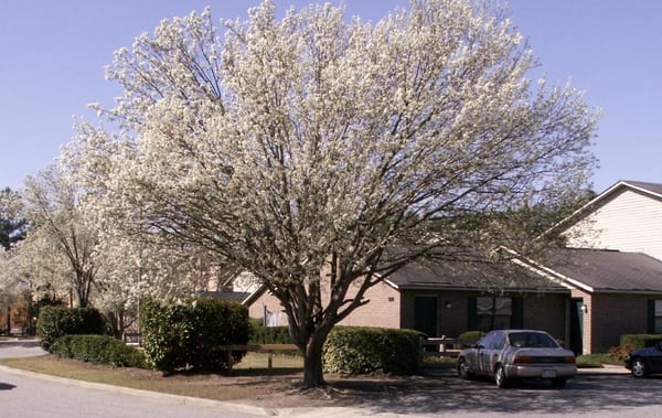 partial view of the property