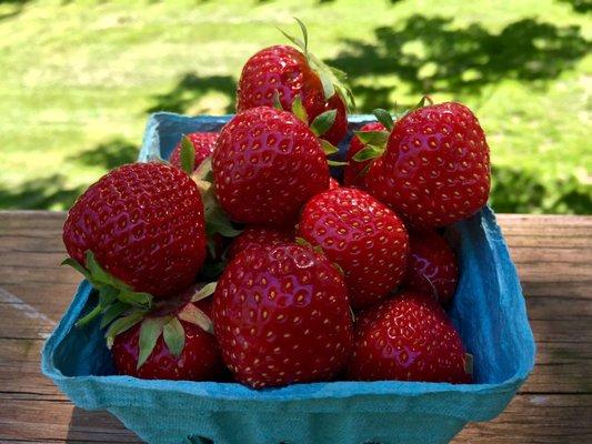 Fresh strawberries