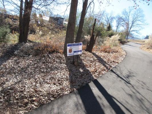 right off the trail at Lake Conestee Nature Park