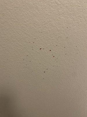 Blood on ceiling..